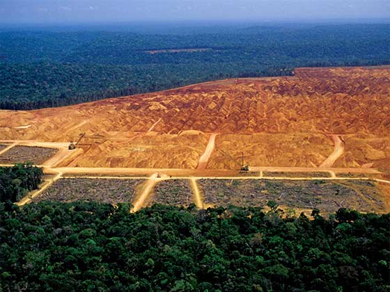 desmatamento da amazônia