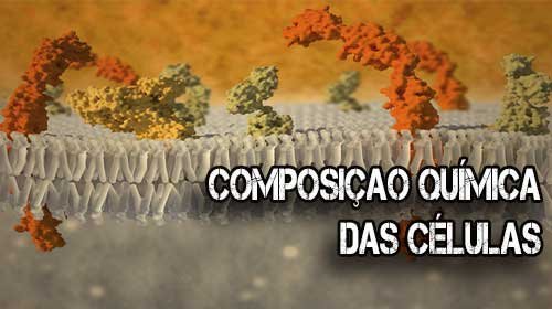 A Composição Química da Célula