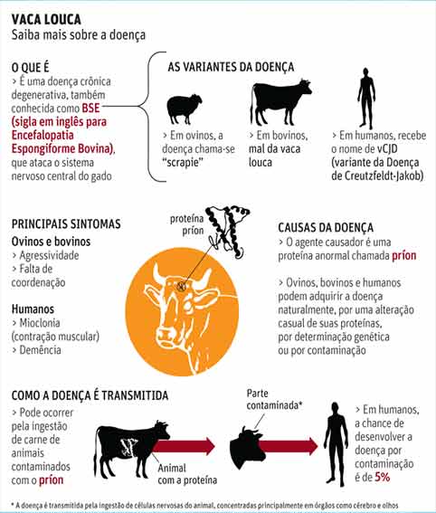 Prion e a doença da Vaca Louca
