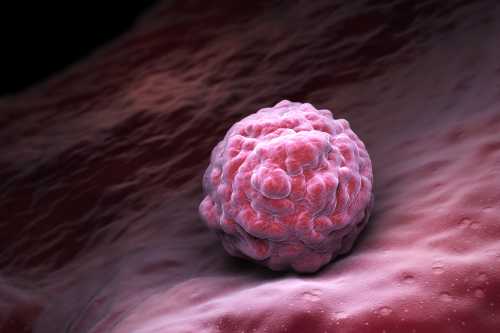 Conheça os tipos de células tronco: totipotente, multipotente e pluripotente