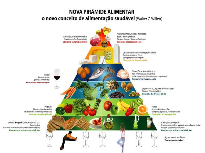 Nutrientes - tipos, classificação, composição dos alimentos