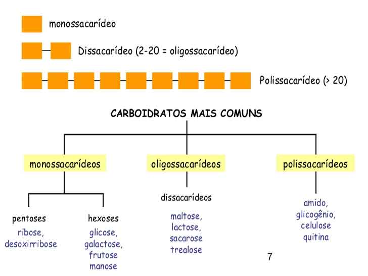 classificação-dos-carboidratos