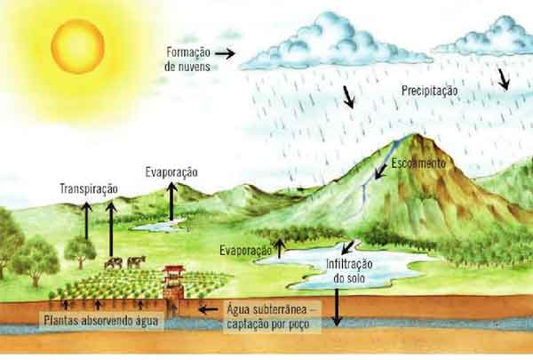 Ciclo da água na natureza - fases e processos do ciclo da água