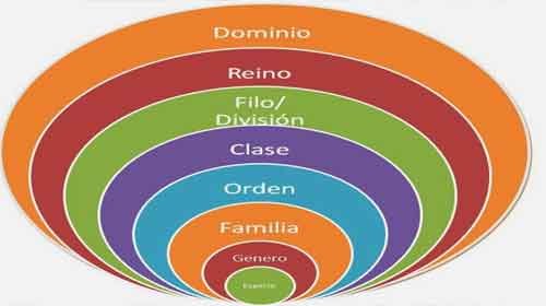 Introdução a taxonomia, sistemática, especiação e filogenia