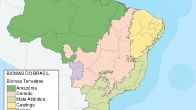 Os principais domínios morfoclimáticos do Brasil