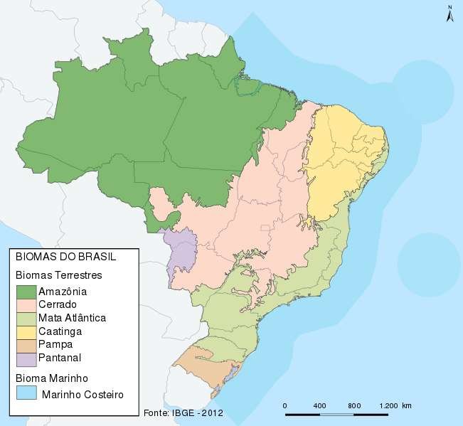 Domínios morfoclimáticos do Brasil: quais são? - Brasil Escola