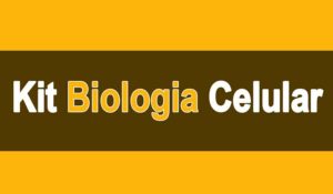 Kit de estudos biologia celular