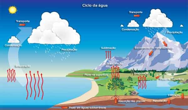 Foto de Ciclos Biogeoquímicos: resumo, o que são, quais são