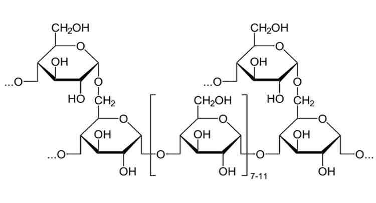 O que é Glicogênio: metabolismo, síntese, estrutura