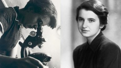 mulheres nas ciências