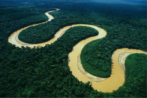 Foto de Bioma Floresta Amazônica