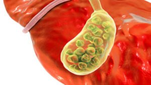 O que é Bile: função, pra que serve, composição - Planeta Biologia