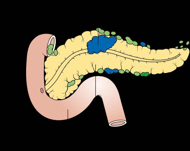 Suco Pancreático: função, o que é, composição