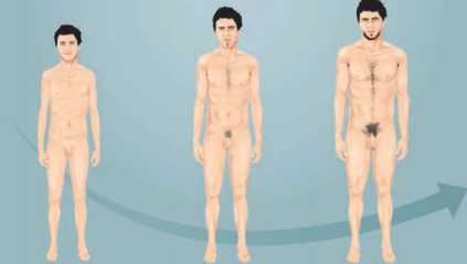 Mudanças no corpo masculino a partir da puberdade.